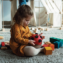 Cargar imagen en el visor de la galería, La Mariquita Eco